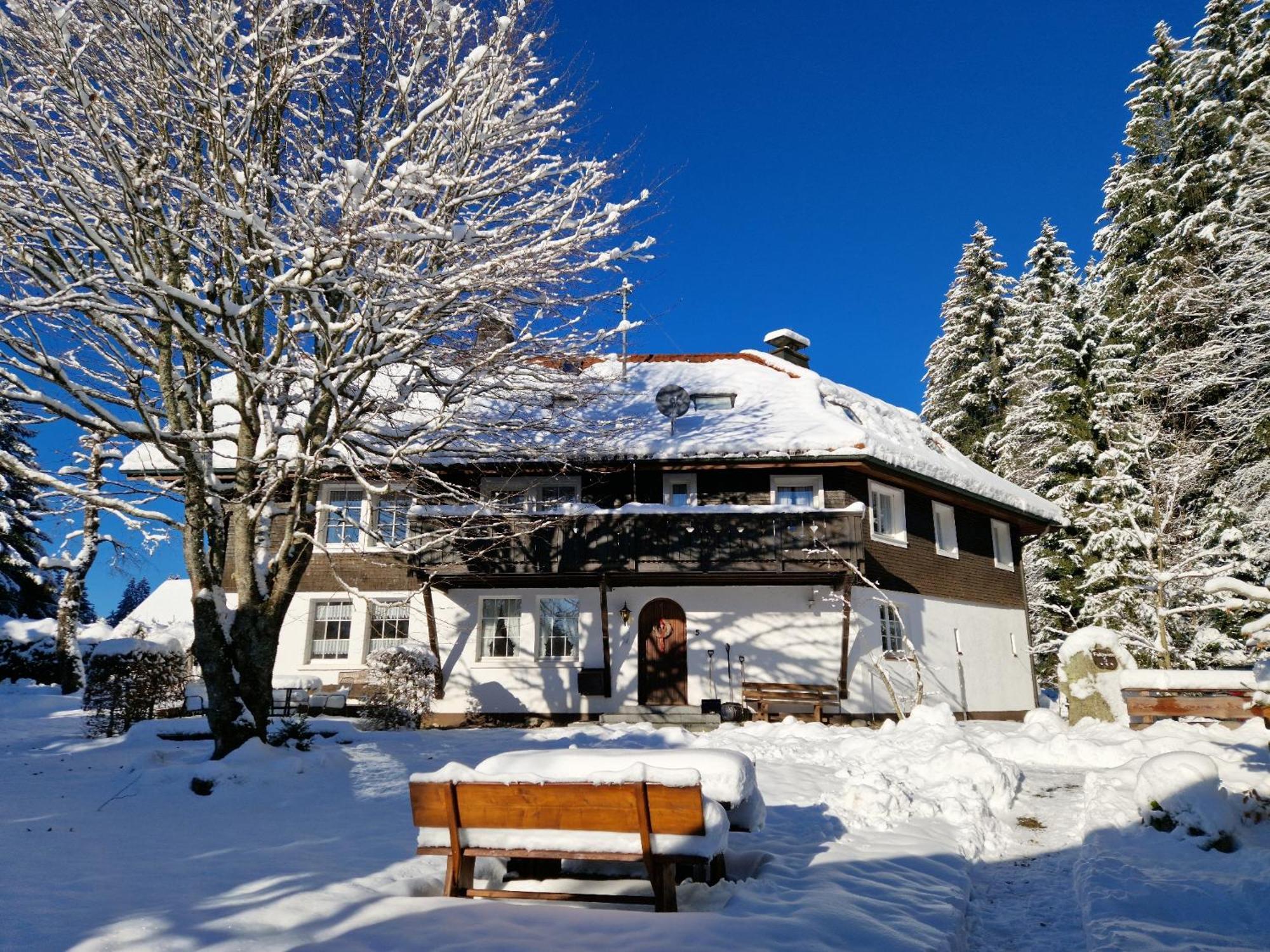 Villa Altes Zollhuesli à Schluchsee Extérieur photo