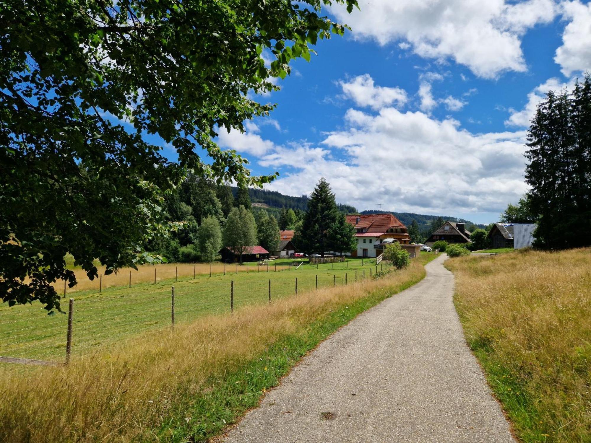 Villa Altes Zollhuesli à Schluchsee Extérieur photo