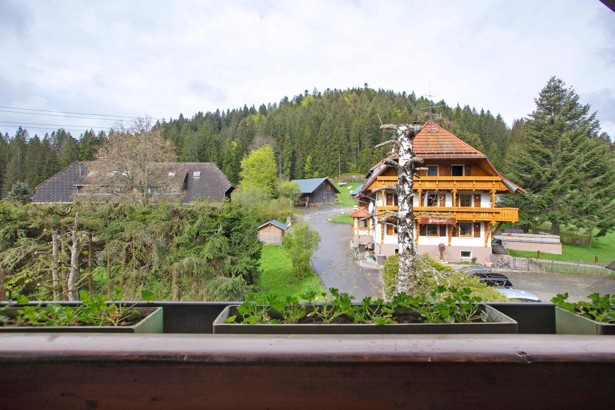 Villa Altes Zollhuesli à Schluchsee Extérieur photo